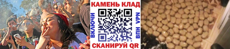 kraken зеркало  Старый Крым  ГАШ AMNESIA HAZE 
