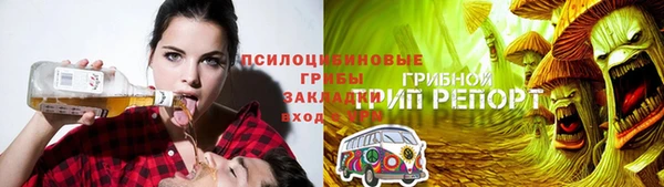 индика Балахна