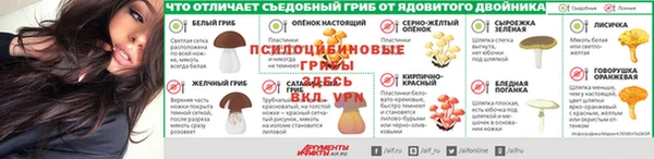 прущие грибы Баксан