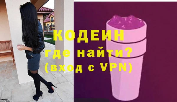 индика Балахна