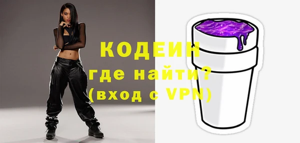 индика Балахна