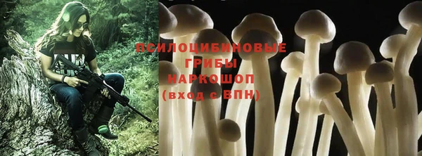 прущие грибы Баксан
