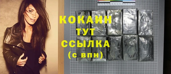 индика Балахна