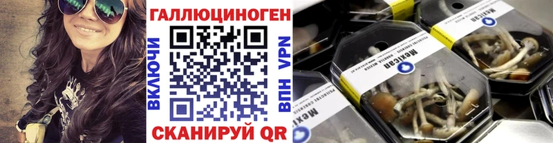купить закладку  Старый Крым  Псилоцибиновые грибы MAGIC MUSHROOMS 